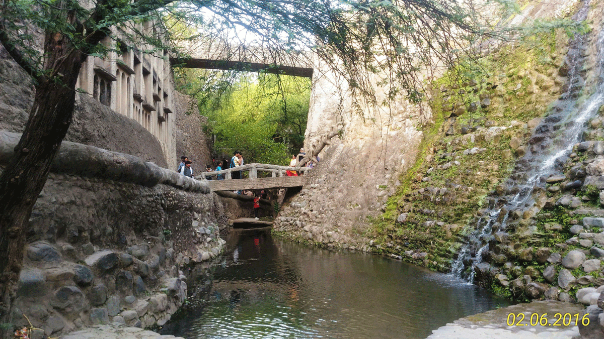 rok garden