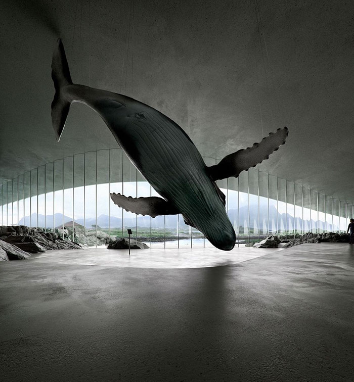 kit; whale; arktik; arktička; podvodni; svet; arhitektura