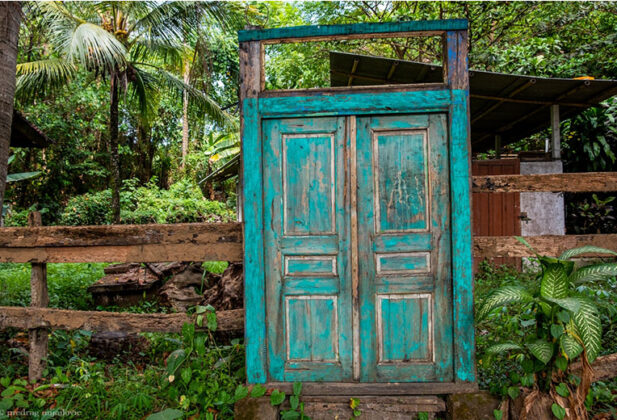 Predrag Mijailović fotografija nusantara bali fotograf indonezija priroda ljudi pirinac