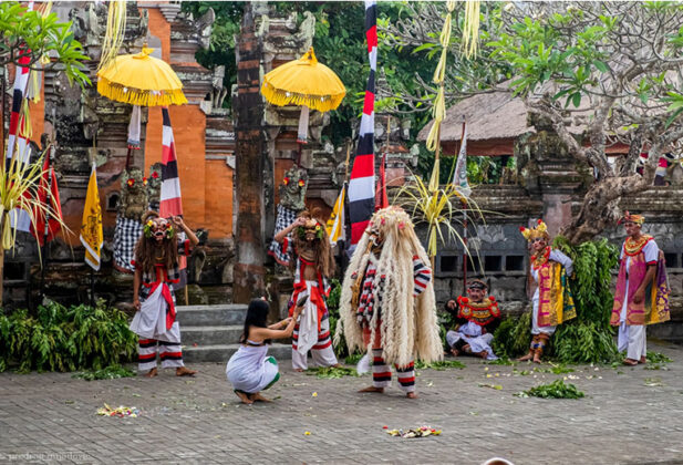 Predrag Mijailović fotografija nusantara bali fotograf indonezija priroda ljudi pirinac